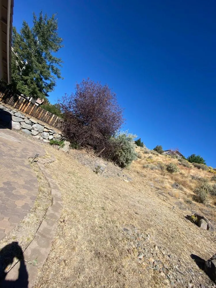 Trusted landscape installation for outdoor upgrades in Portola, CA by AB's Landscape