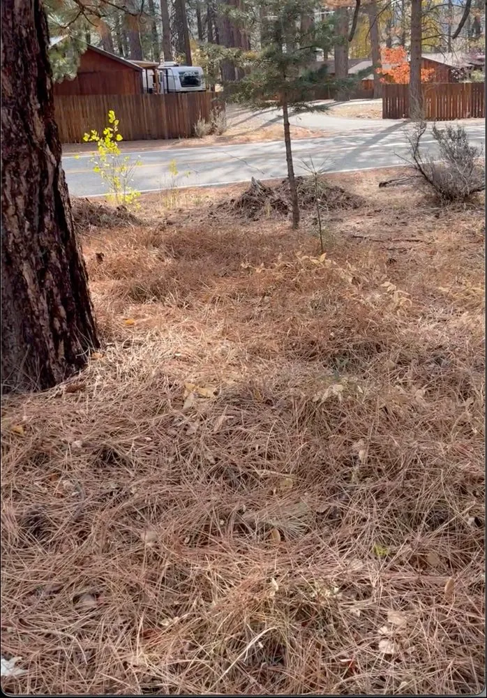 Custom garden landscaping experts serving Portola, CA - AB's Landscape