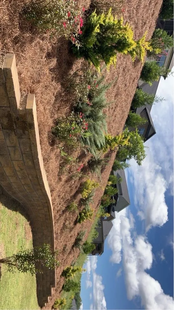 Expert yard maintenance experts serving Belton, SC - A&bs Landscaping