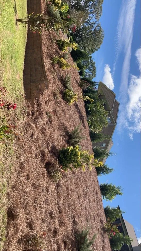 Reliable residential landscaping for homes across Belton, SC - A&bs Landscaping