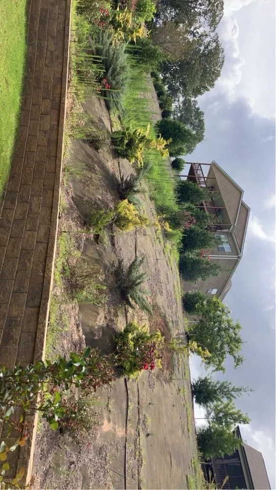 Reliable landscape installation for residential properties in Belton, SC by A&bs Landscaping