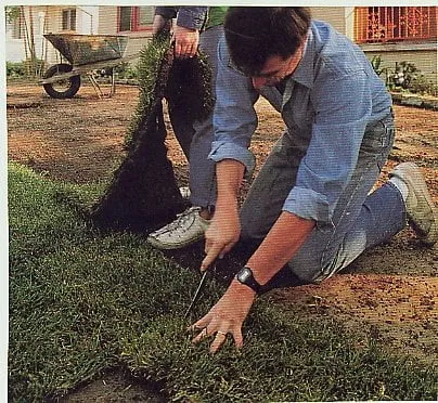 Local lawn care service in Mableton, GA by Absolawn Landscape Management