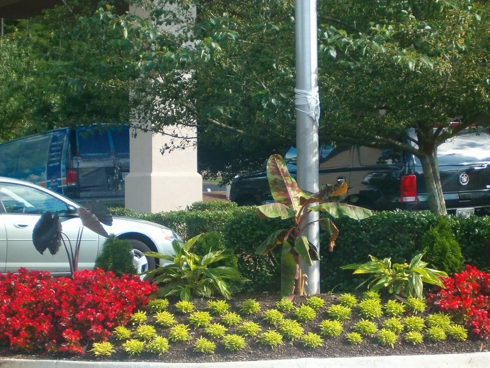 Local lawn care service with custom design in Mableton, GA by Absolawn Landscape Management