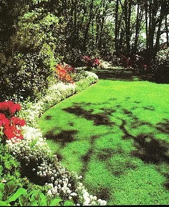 Local residential landscaping in Mableton, GA - Absolawn Landscape Management