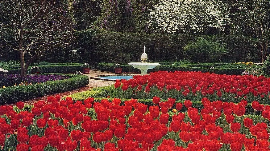 Professional landscape design experts serving Mableton, GA - Absolawn Landscape Management