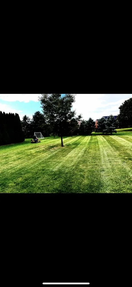 Affordable landscaping services in Brighton, MI - Absolute Best Lawn & Bed Maintenance