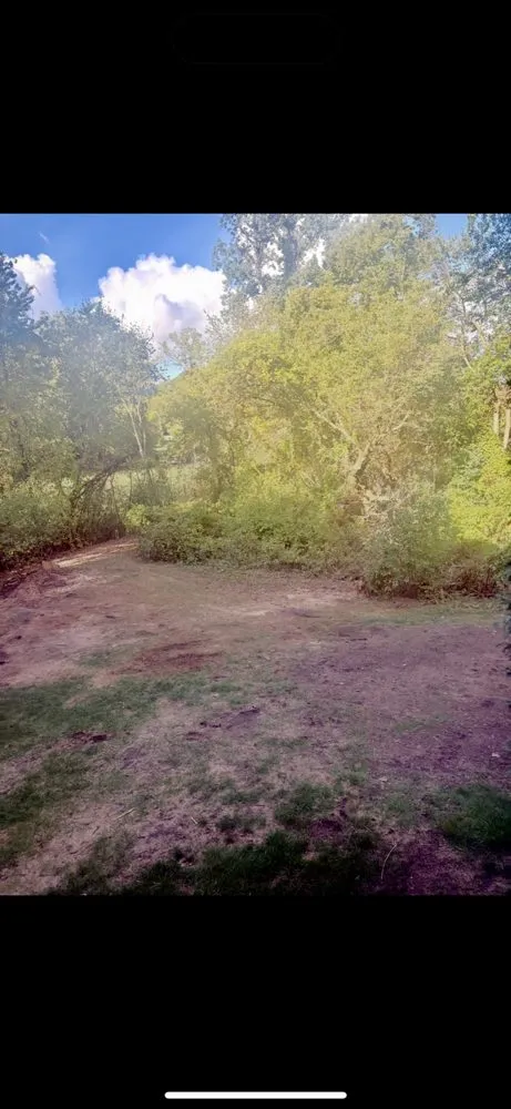 Professional landscaping services in Brighton, MI by Absolute Best Lawn & Bed Maintenance