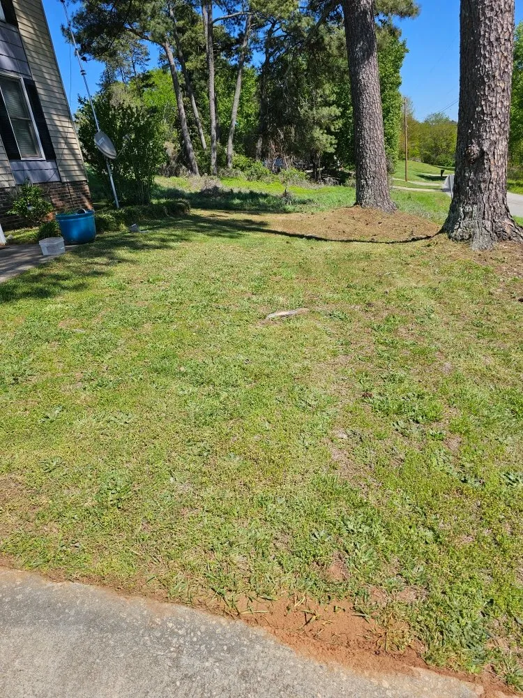 Affordable residential landscaping experts serving Easley, SC - Absolute Best Lawn Care Service