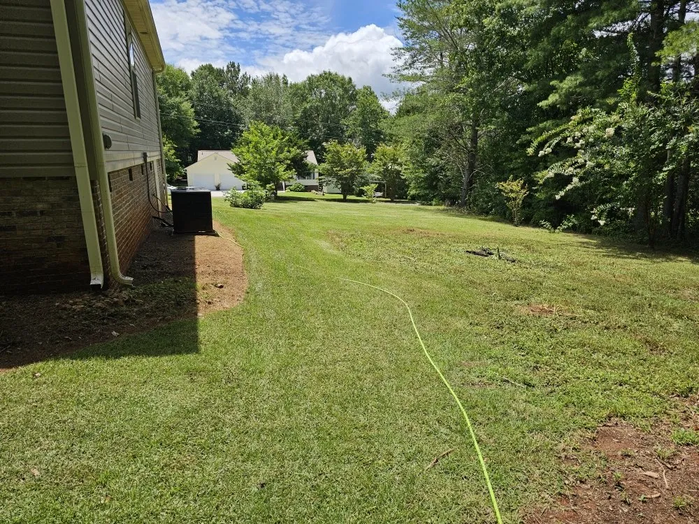 Custom lawn care service experts serving Easley, SC - Absolute Best Lawn Care Service