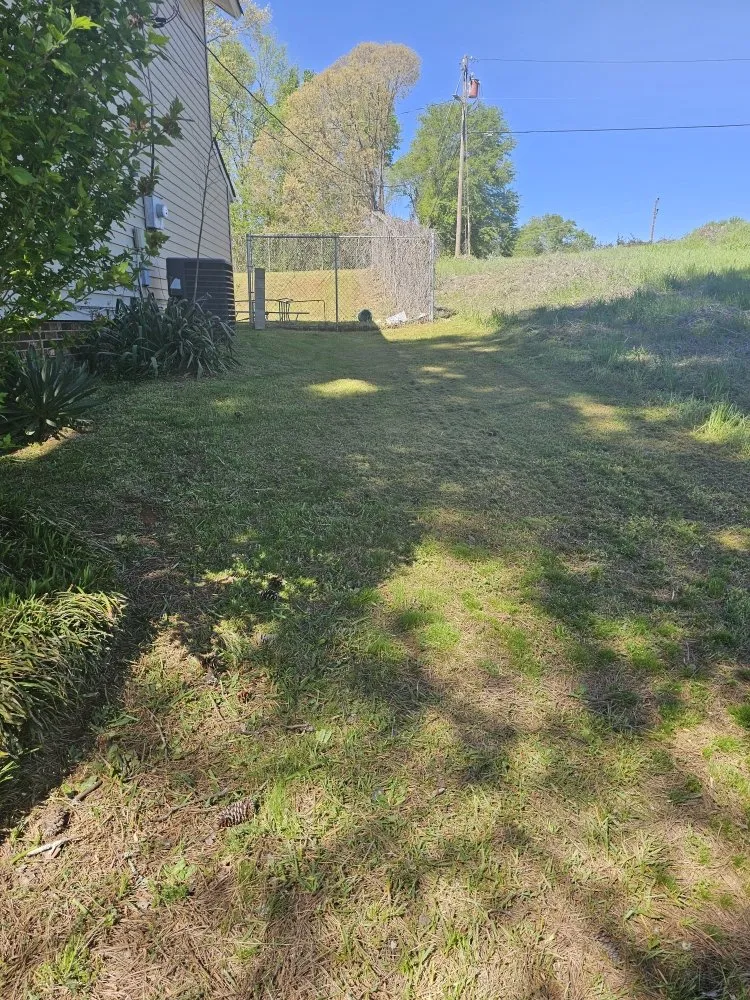 Top-rated lawn mowing service for year-round maintenance across Easley, SC - Absolute Best Lawn Care Service