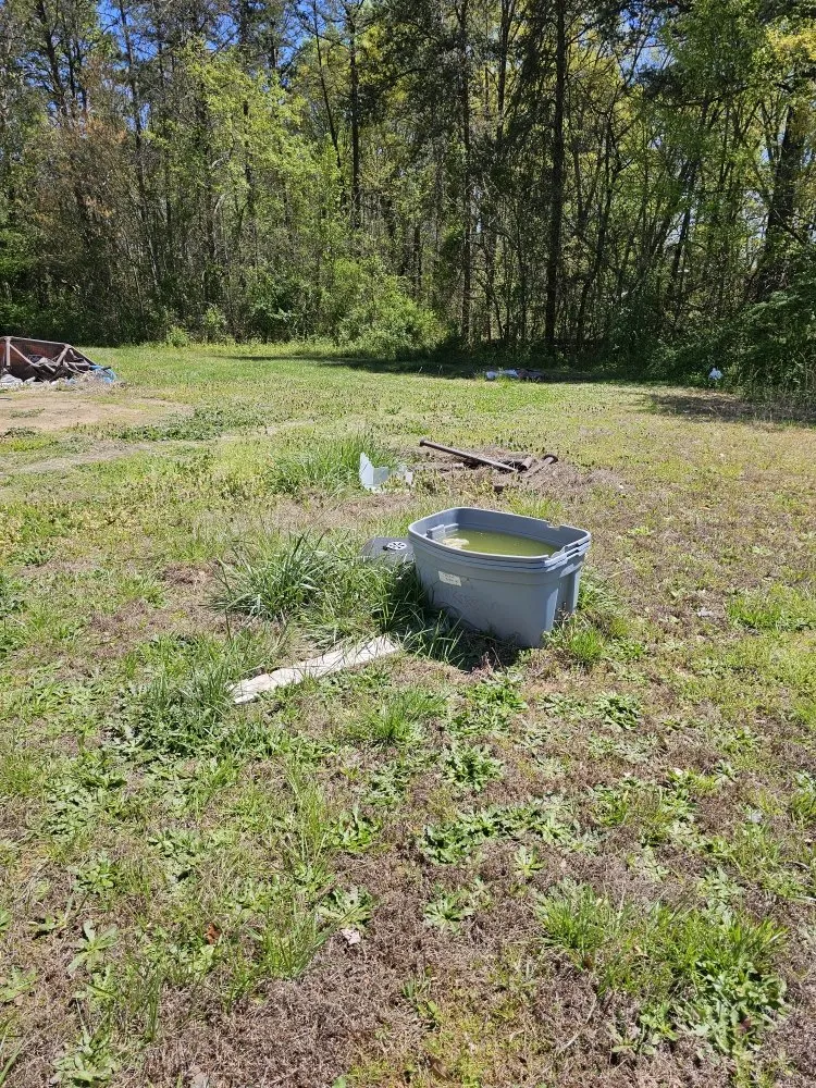 Affordable yard cleanup service experts serving Easley, SC - Absolute Best Lawn Care Service