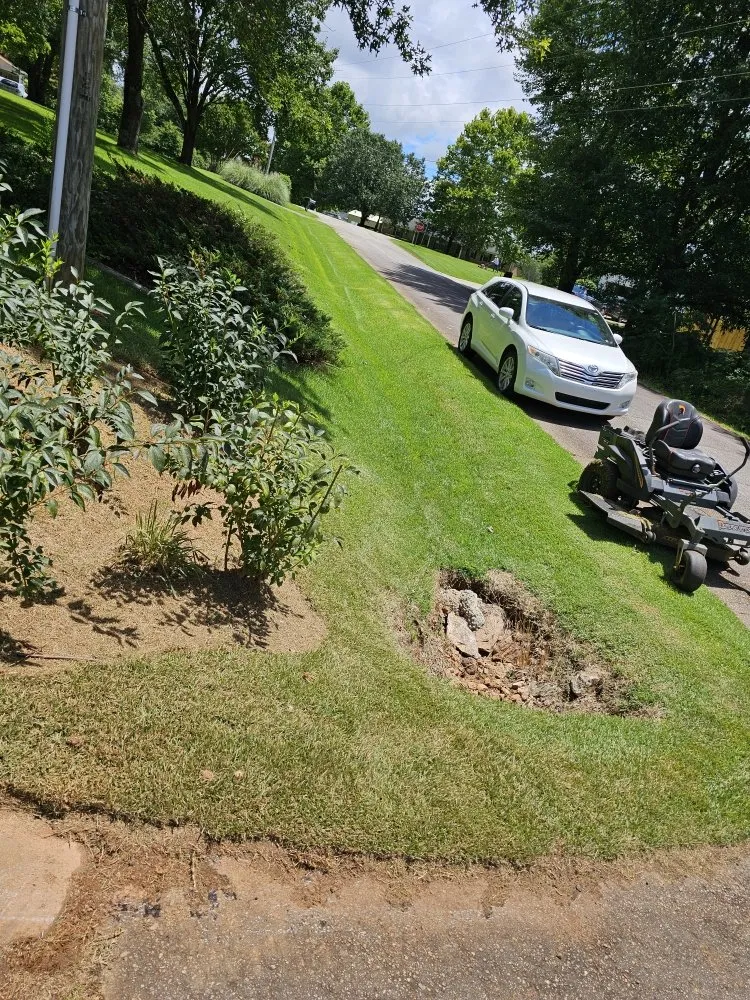 Local outdoor landscaping for year-round maintenance across Easley, SC - Absolute Best Lawn Care Service