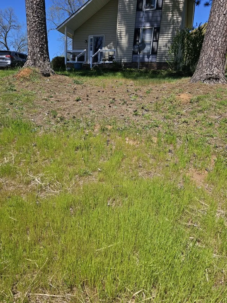 Professional landscape installation in Easley, SC - Absolute Best Lawn Care Service