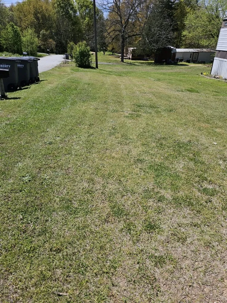 Trusted yard maintenance in Easley, SC by Absolute Best Lawn Care Service