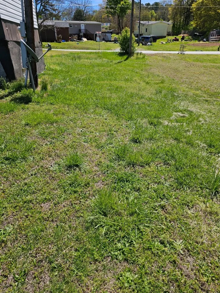 Professional landscape design experts serving Easley, SC - Absolute Best Lawn Care Service