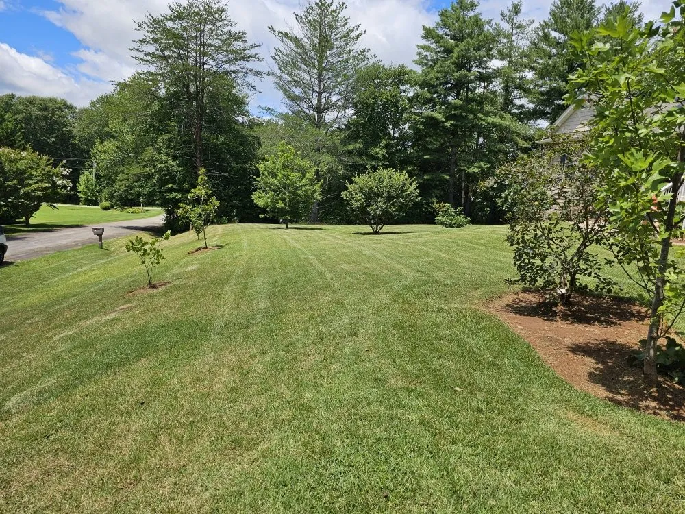 Local lawn mowing service experts serving Easley, SC - Absolute Best Lawn Care Service