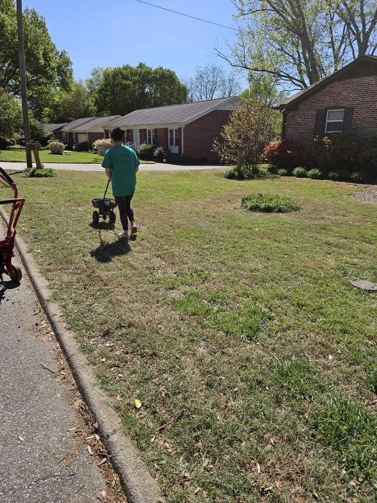Local garden landscaping for year-round maintenance across Easley, SC - Absolute Best Lawn Care Service