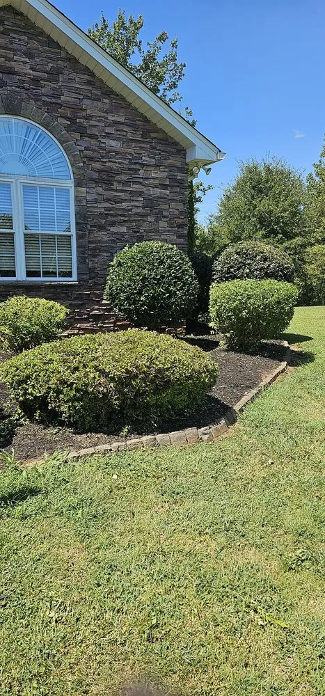 Custom yard maintenance for beautiful yards in Easley, SC by Absolute Best Lawn Care Service