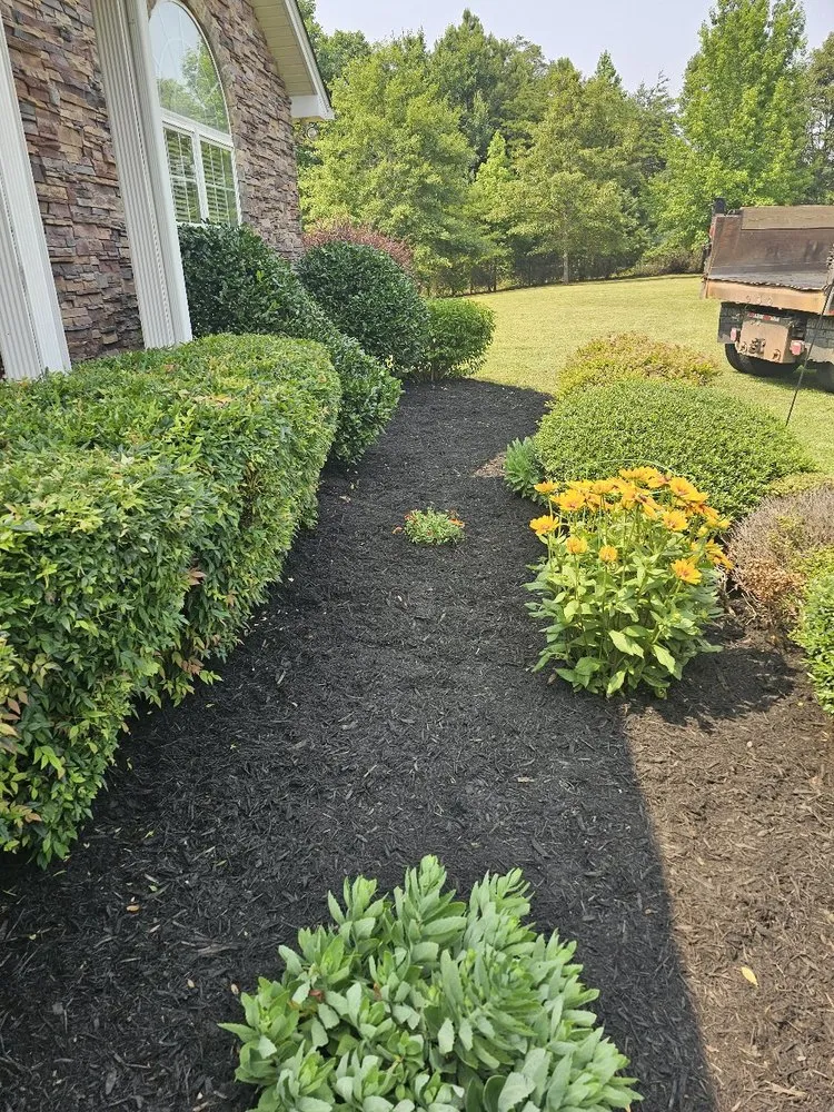 Affordable outdoor landscaping in Easley, SC by Absolute Best Lawn Care Service