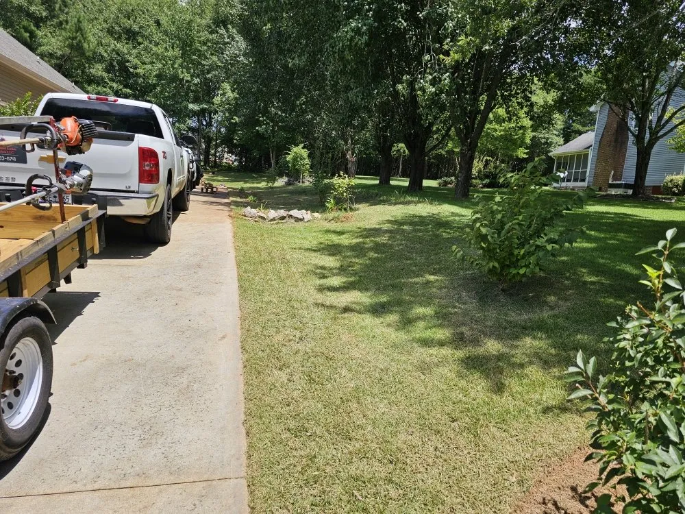 Top-rated yard cleanup service experts serving Easley, SC - Absolute Best Lawn Care Service