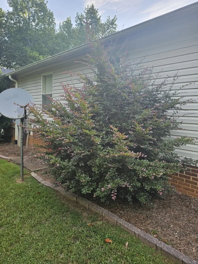 Top-rated garden landscaping in Easley, SC - Absolute Best Lawn Care Service