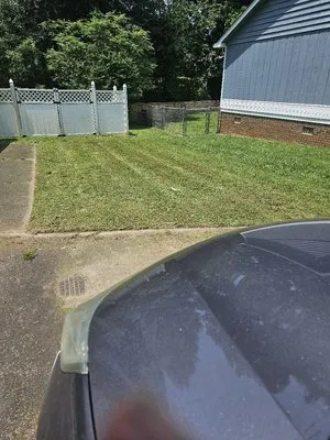 Absolute Best Lawn Care Service Logo