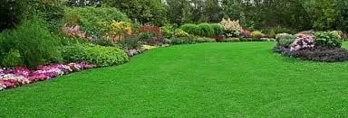 Local yard maintenance in Mobile, AL - Absolute Best Services