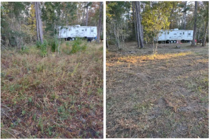 Professional yard maintenance near you across Clyo, GA - Absolute Brush Cutting and Beautification