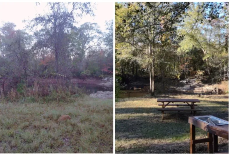 Local lawn care service in Clyo, GA - Absolute Brush Cutting and Beautification