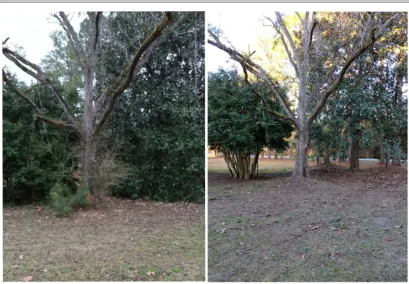 Trusted landscape design in Clyo, GA - Absolute Brush Cutting and Beautification