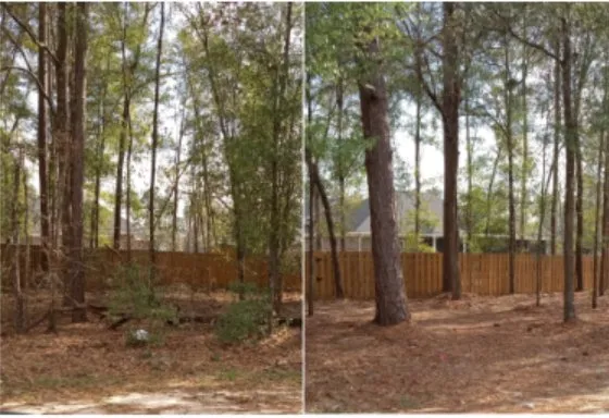 Top-rated yard cleanup service with custom design in Clyo, GA by Absolute Brush Cutting and Beautification