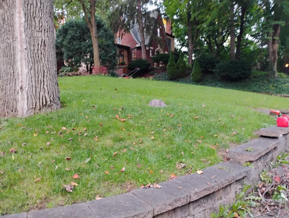 Local residential landscaping experts serving Indianapolis, IN - Absolute Clean Cut Property Solutions