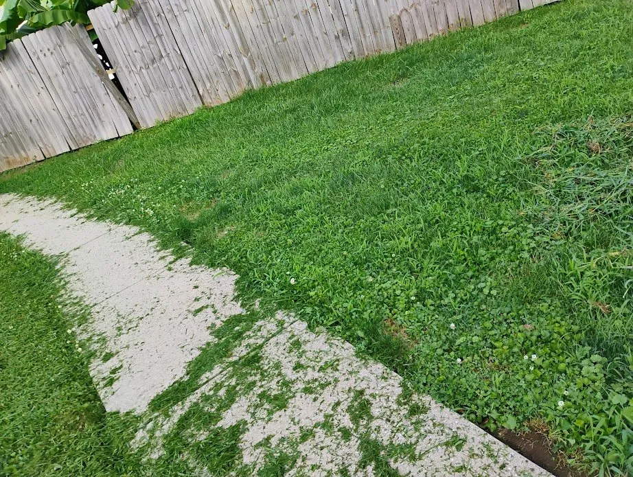 Custom residential landscaping in Indianapolis, IN - Absolute Clean Cut Property Solutions