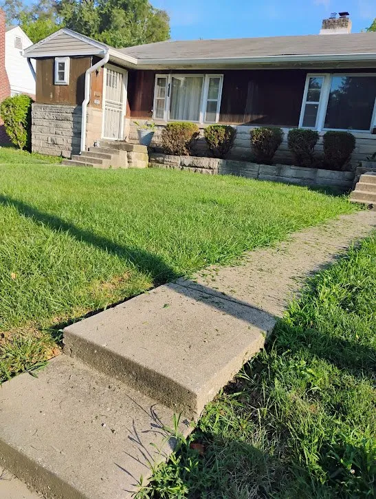 Local yard cleanup service experts serving Indianapolis, IN - Absolute Clean Cut Property Solutions