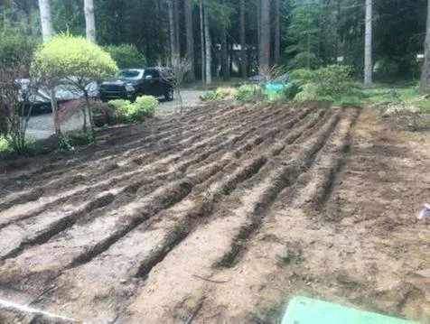 Affordable landscape installation for homes in Poulsbo, WA by Absolute Earthworks