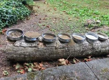 Reliable landscape installation in Poulsbo, WA - Absolute Earthworks