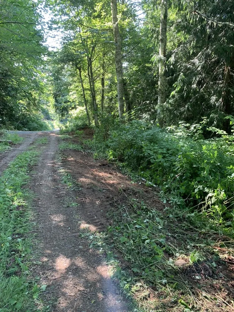 Affordable landscaping services experts serving Poulsbo, WA - Absolute Earthworks