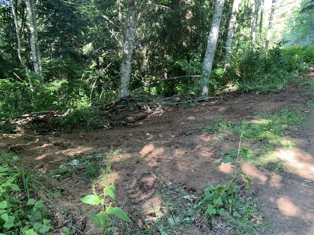 Expert residential landscaping in Poulsbo, WA by Absolute Earthworks