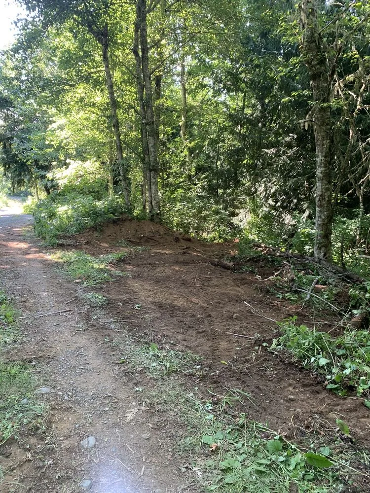 Reliable lawn care service experts serving Poulsbo, WA - Absolute Earthworks