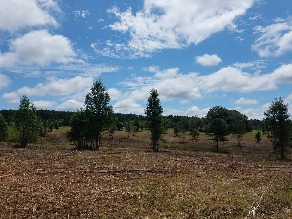 Local landscape design in Lexington, GA by Absolute Equipment Service