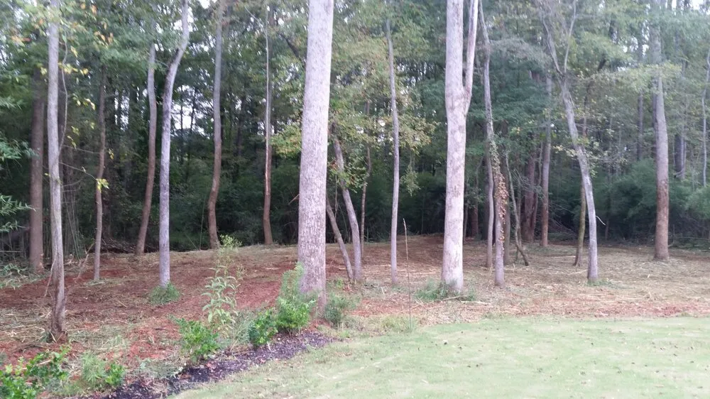 Reliable garden landscaping for outdoor upgrades across Lexington, GA - Absolute Equipment Service