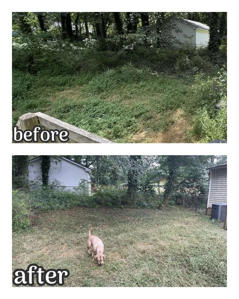 Local lawn mowing service with custom design across Atlanta, GA - Absolute Exterior Care