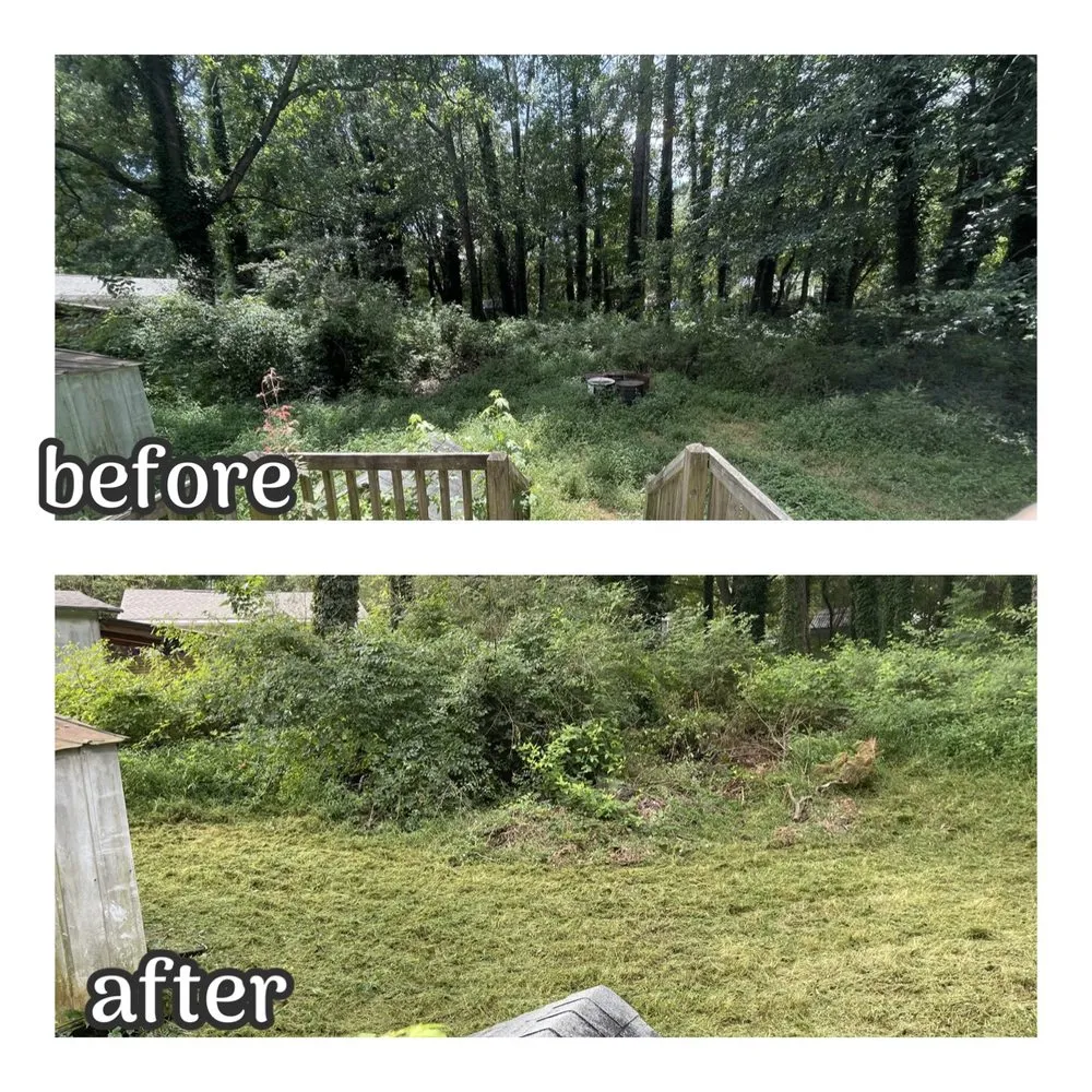 Expert residential landscaping experts serving Atlanta, GA - Absolute Exterior Care