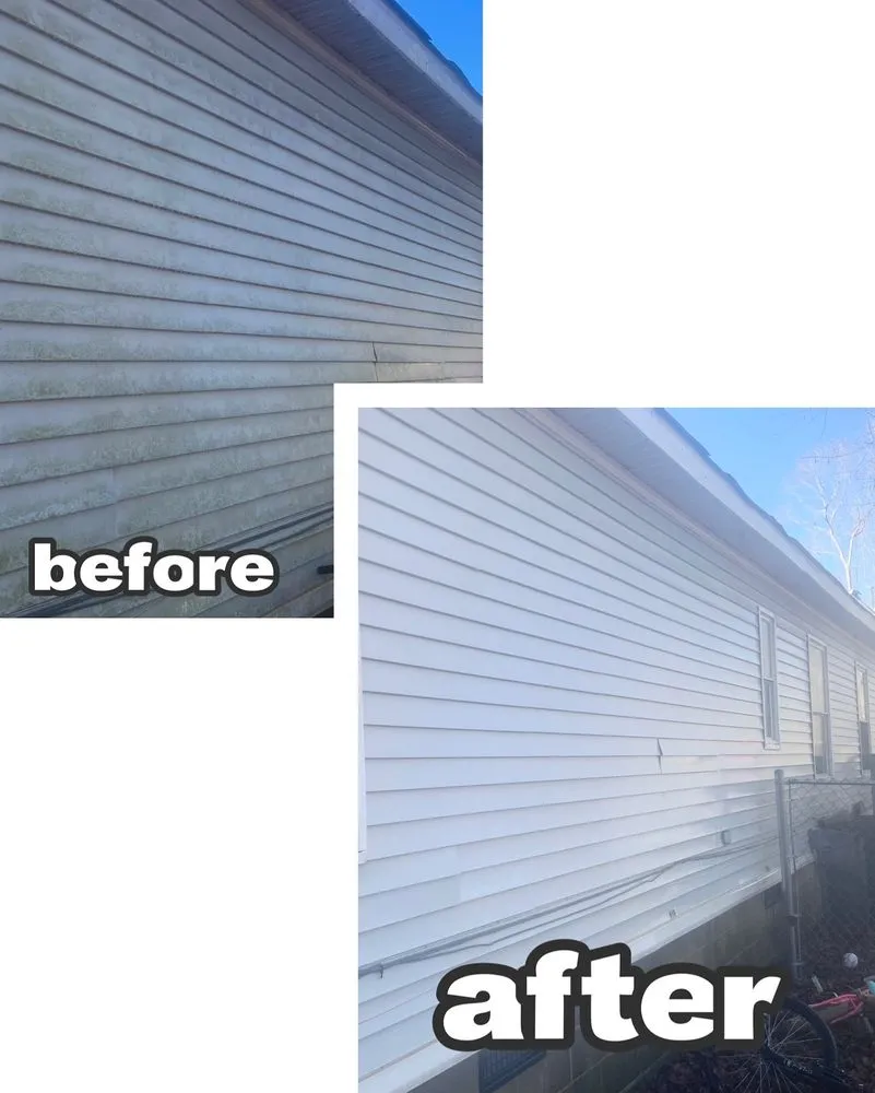 Top-rated yard cleanup service in Atlanta, GA by Absolute Exterior Care