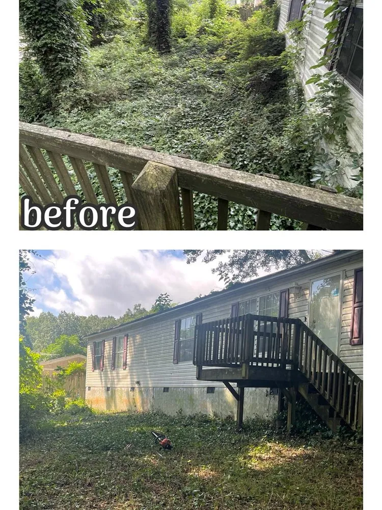 Trusted yard maintenance in Atlanta, GA by Absolute Exterior Care