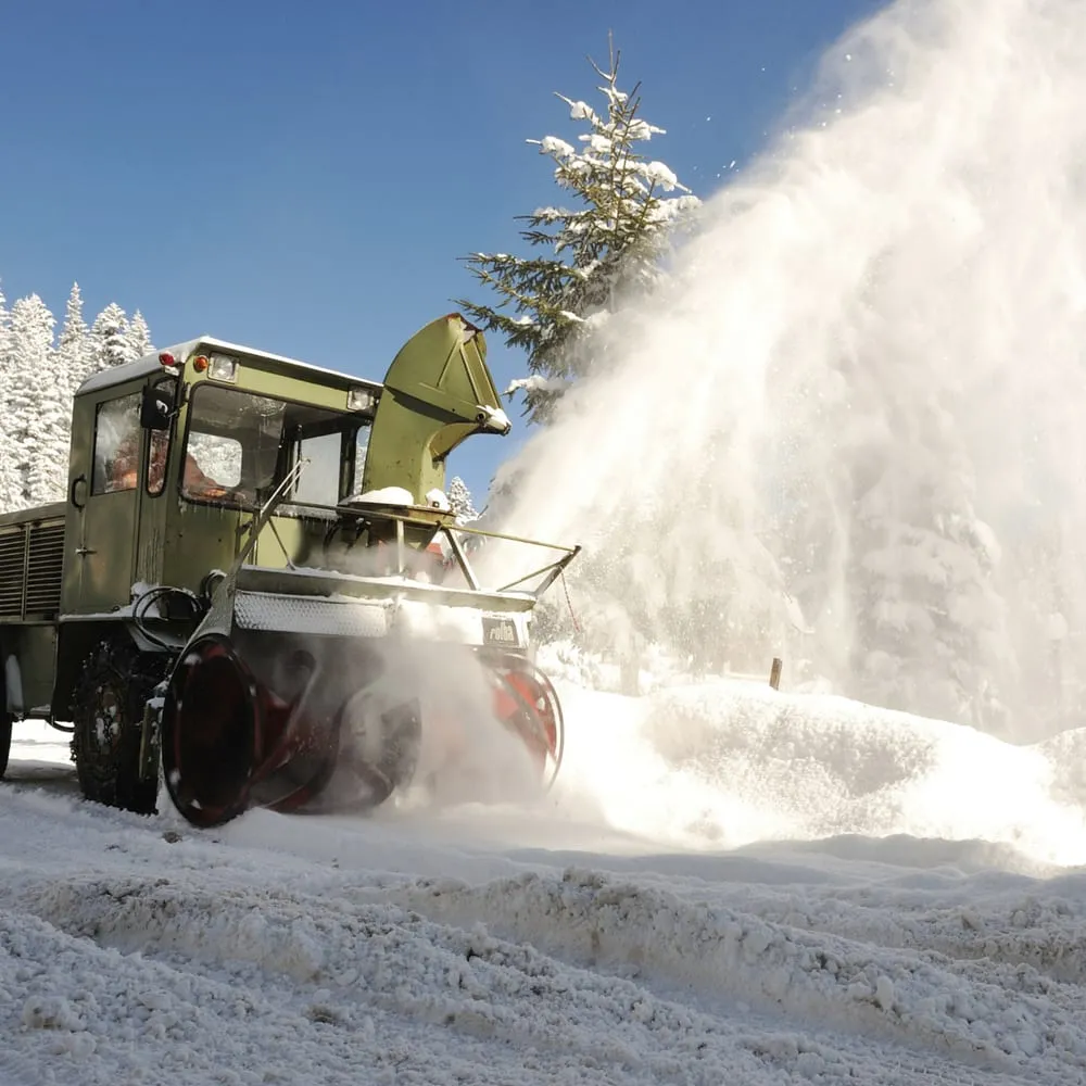 Reliable yard cleanup service with custom design across Amherst, NH - Absolute Exteriors