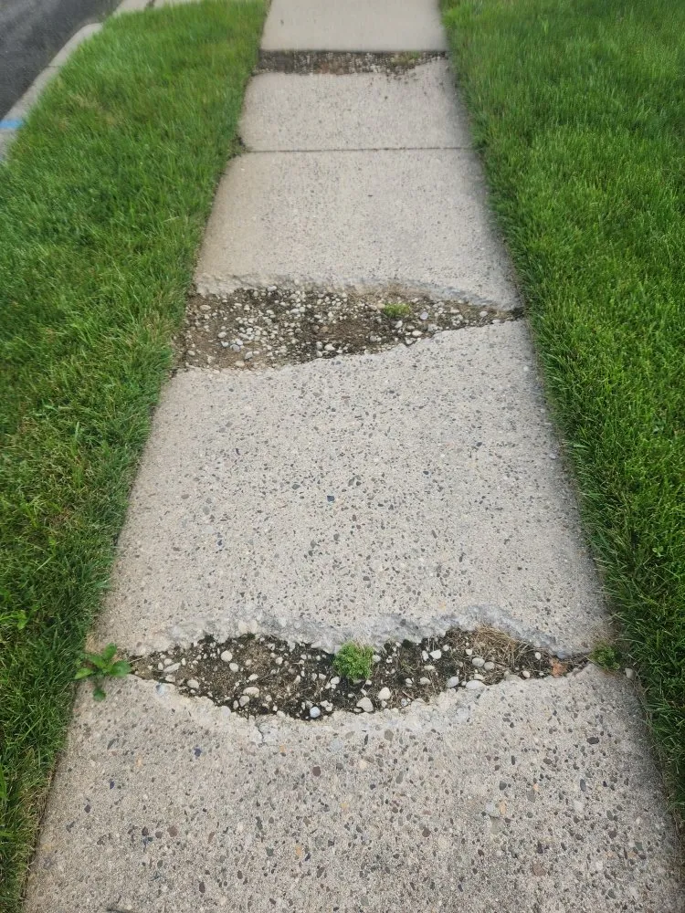 Professional lawn care service in Paulsboro, NJ - Absolute Exteriors