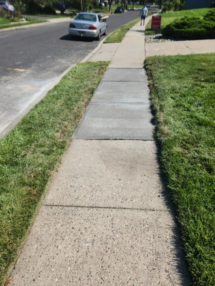 Professional garden landscaping in Paulsboro, NJ - Absolute Exteriors