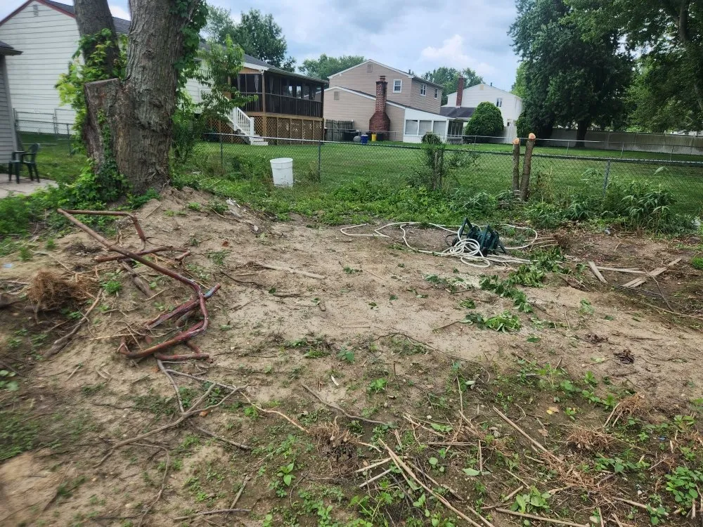 Professional yard maintenance in Paulsboro, NJ by Absolute Exteriors