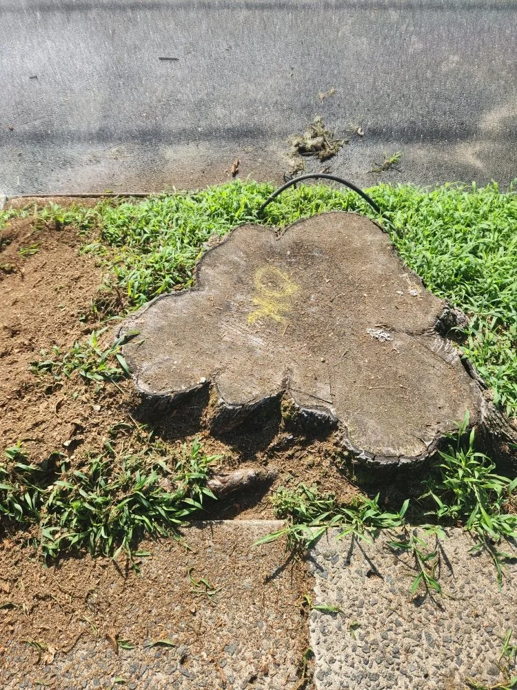 Trusted garden landscaping in Paulsboro, NJ by Absolute Exteriors